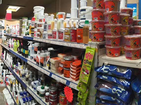 Horse Supplements / Treats