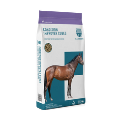 Saracen Condition Improver Cubes - 20kg
