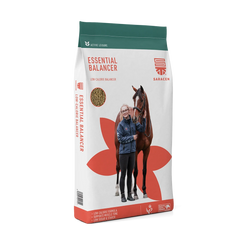 Saracen Essential Balancer - 20kg