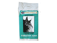 Halley's Timothy Blox