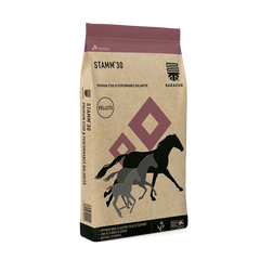 Saracen Stamm 30 - 20kg