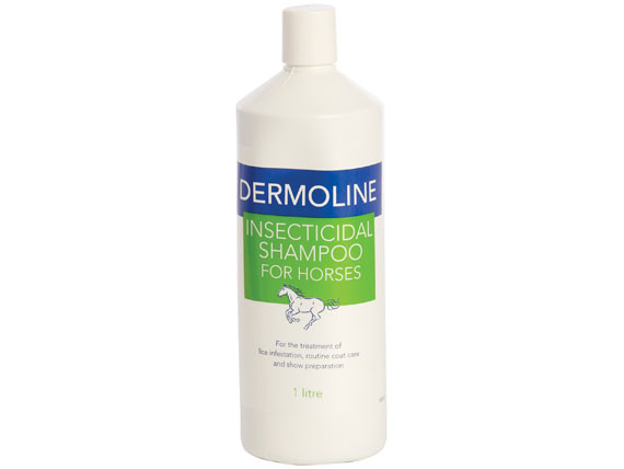 Dermoline Shampoo