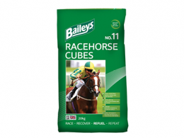 Baileys No 11 Racehorse Cubes
