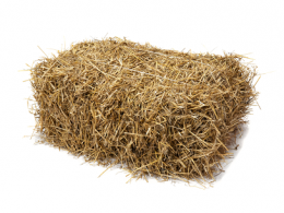 Barley Straw Small Bale