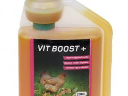 Nettex Vitamin Boost