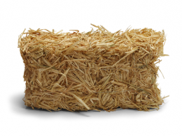 Wheat Straw Small Bale