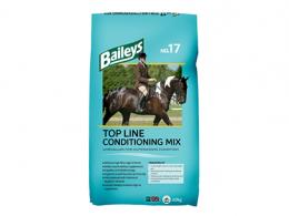 Baileys No 17 Topline Cond Mix
